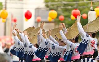 2027-2028 NEW VOYAGE COLLECTION