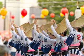 2027-2028 NEW VOYAGE COLLECTION