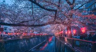 Highlight Experiences