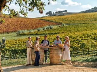 Signature Experiences